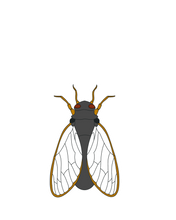 Load image into Gallery viewer, Small Cicada Sticker
