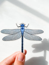 Load image into Gallery viewer, Dragonfly Sticker
