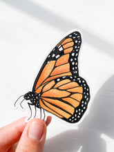 Load image into Gallery viewer, Butterfly Sticker
